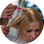 Highlights